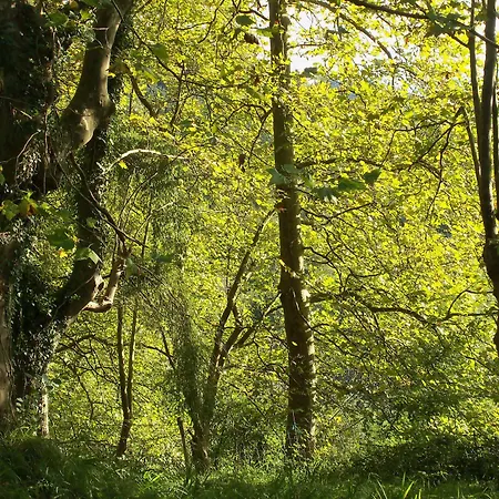 Gasthuis Pardiola Baserria