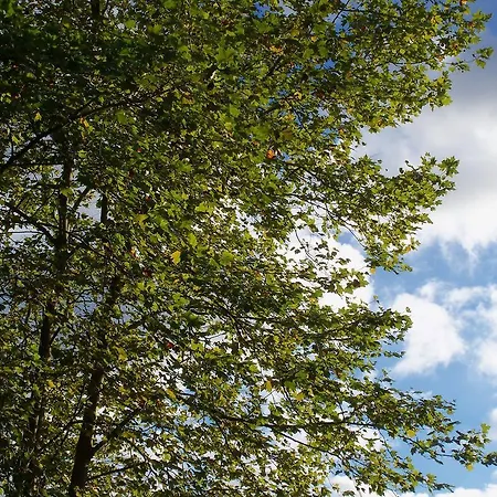 Gasthuis Pardiola Baserria