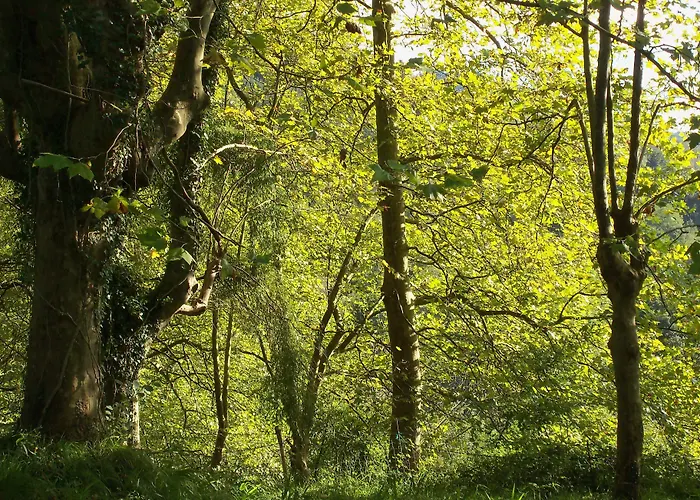 招待所 Pardiola Baserria