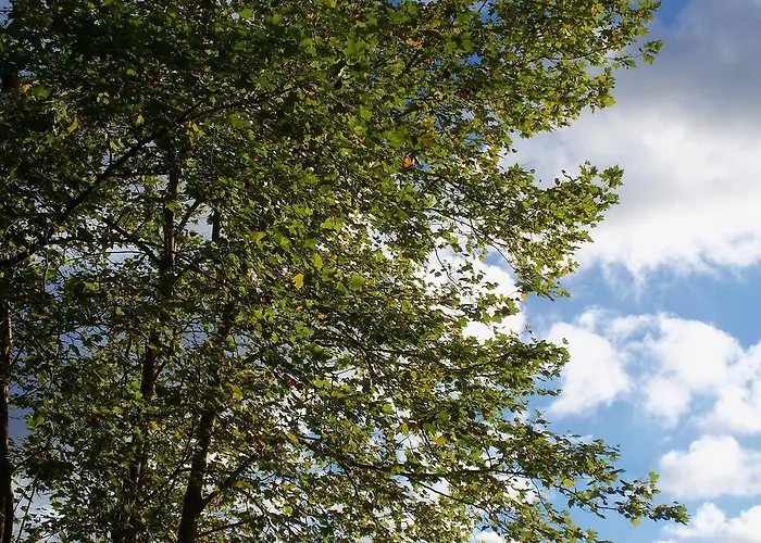 Pensjonat Pardiola Baserria